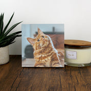 Recycled Canvas Prints - 250 x 250 mm