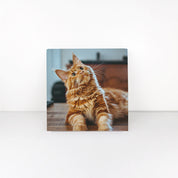 Recycled Canvas Prints - 250 x 250 mm