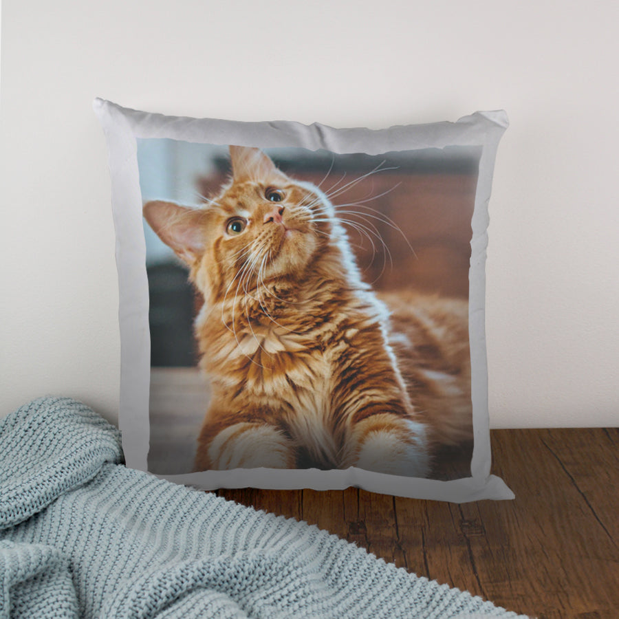 PhotoCushionLifestyle-1.jpg