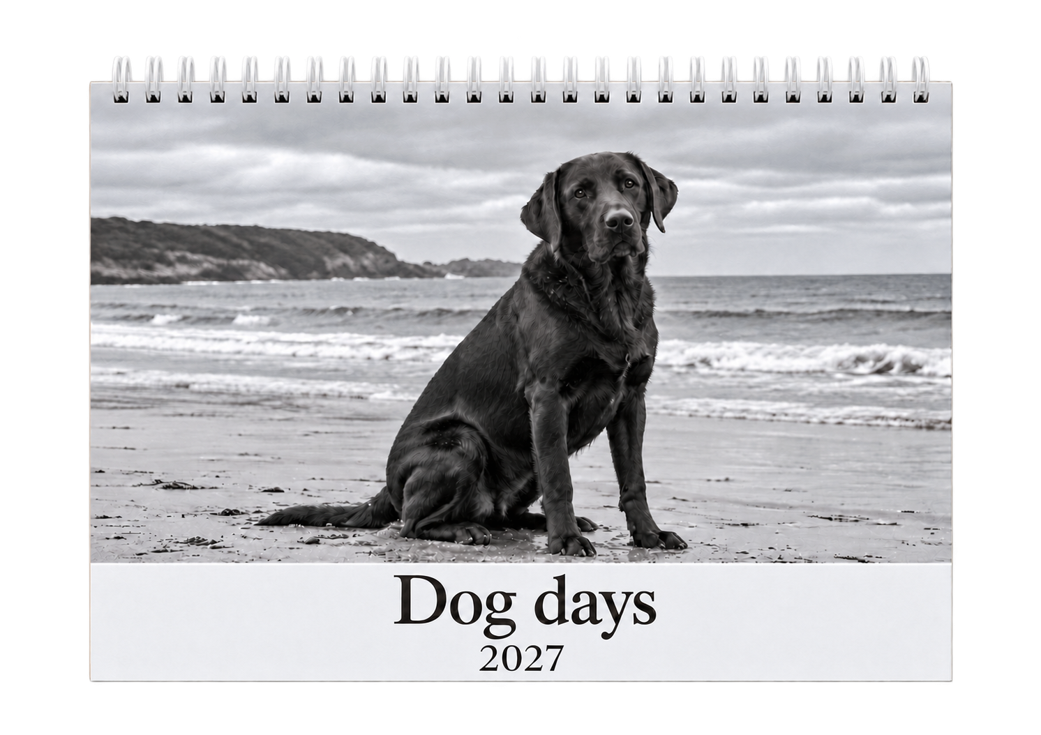 Picsme A5 double-page photo calendar with the Dog days 2027 cover, showing a black Labrador on a beach in black and white with white Wire-O binding.
