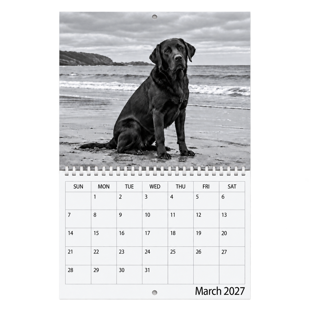 Picsme A5 double-page photo calendar showing a black Labrador on a beach in black and white and the March 2027 date grid with white Wire-O binding.