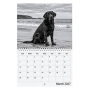 Picsme A5 double-page photo calendar showing a black Labrador on a beach in black and white and the March 2027 date grid with white Wire-O binding.
