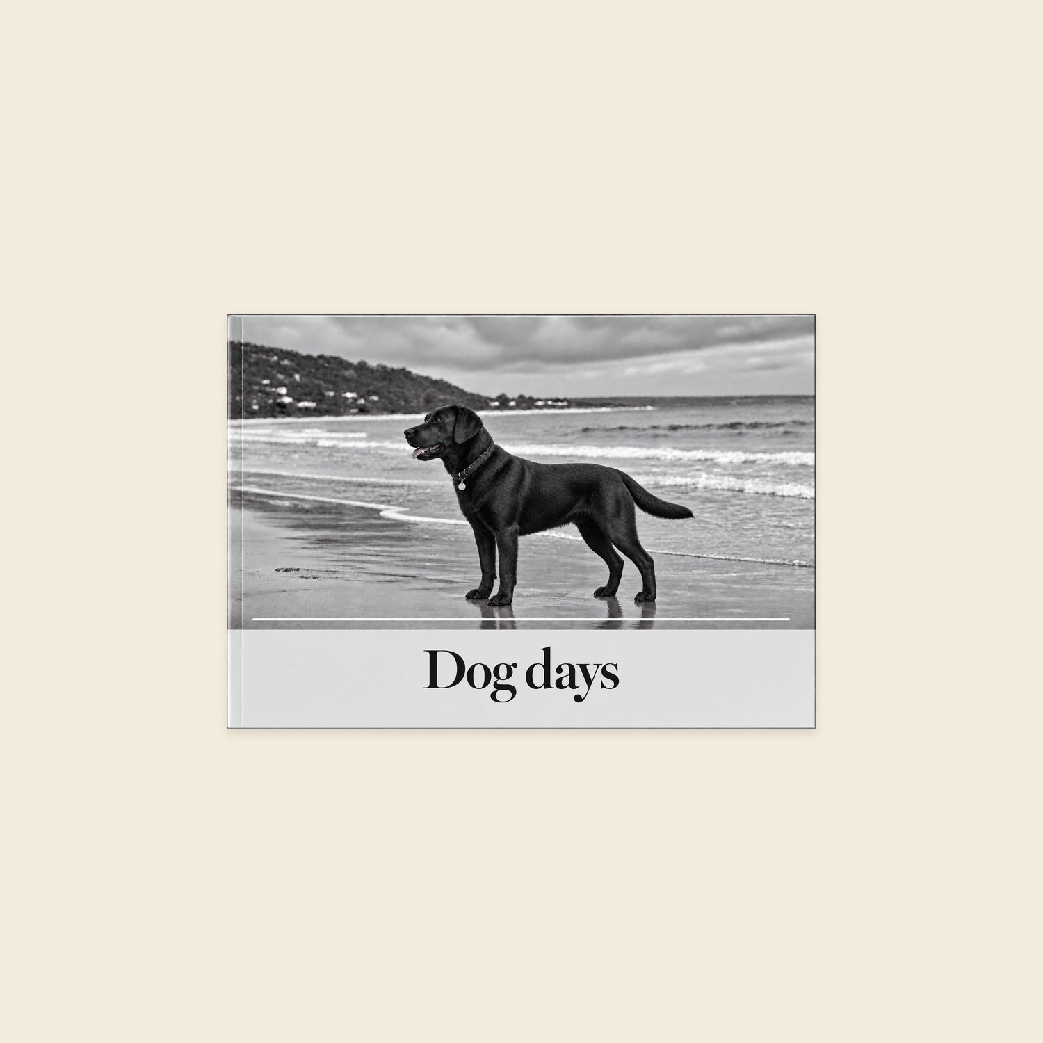 A5 landscape softcover photo book with a monochrome photograph of a sleek black Labrador and centred Dog Days title on pale grey.