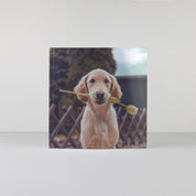 Square hardcover personalised photo book printed in the UK using FSC-certified paper
