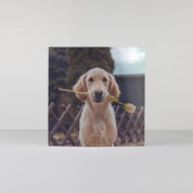 Square softcover personalised photo book printed in the UK using FSC-certified paper
