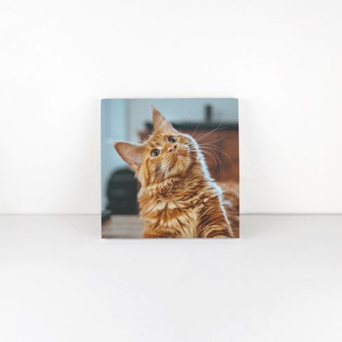 Picsme Personalise Photo Canvas Prints