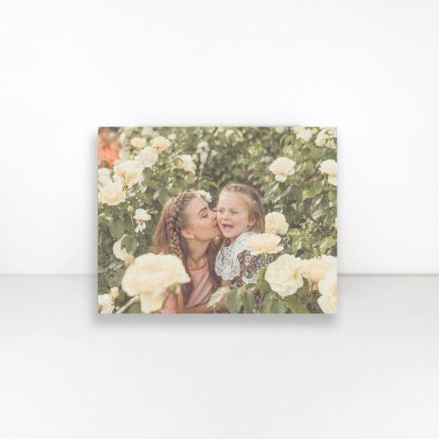200 canvas clearance